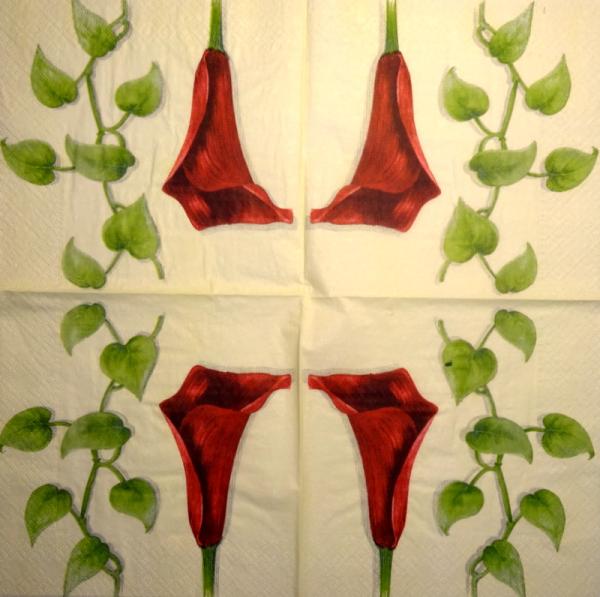 035 Calla - 3-ply